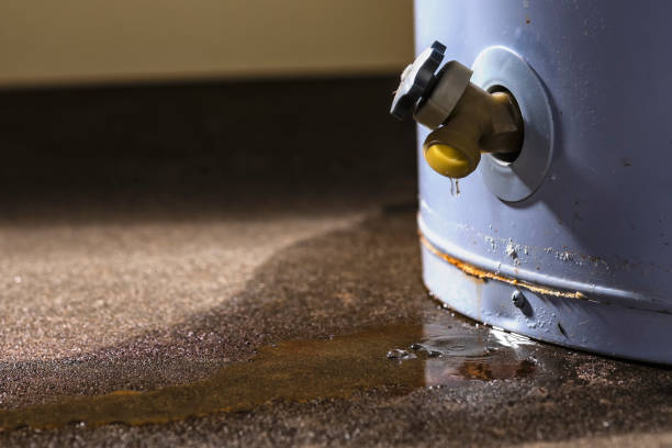 Best Fire Damage Restoration  in West Buechel, KY