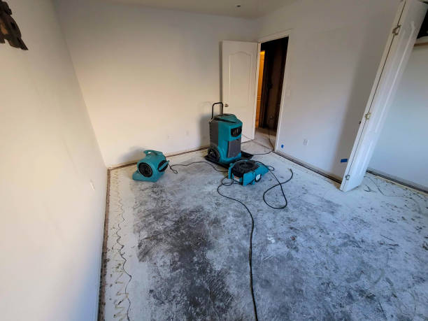 Best Residential water damage restoration  in West Buechel, KY