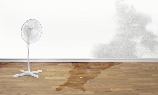 Best Flooded house restoration  in West Buechel, KY