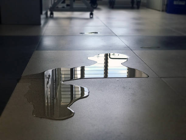 Best 24-hour water damage restoration  in West Buechel, KY