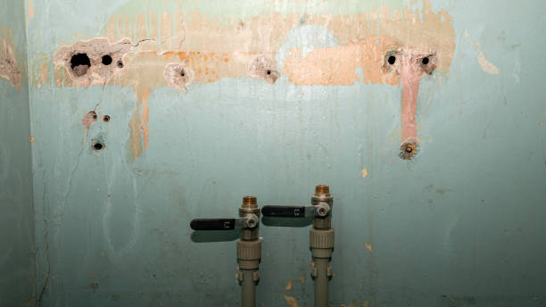 Best Flood damage cleanup  in West Buechel, KY