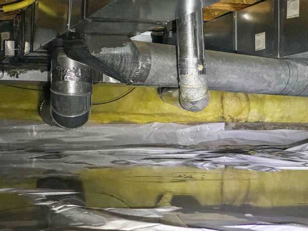 Best Sewage cleanup and water damage restoration  in West Buechel, KY