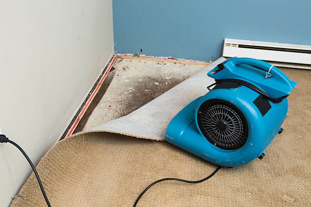 Best Commercial water damage restoration  in West Buechel, KY